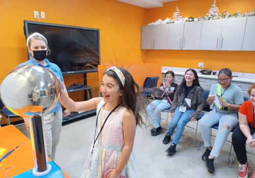 The Impact of Virtual Youth Projects in Fairfax County, Virginia