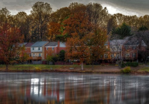 Empowering Youth: The Impact of Youth Projects on Fairfax County, Virginia